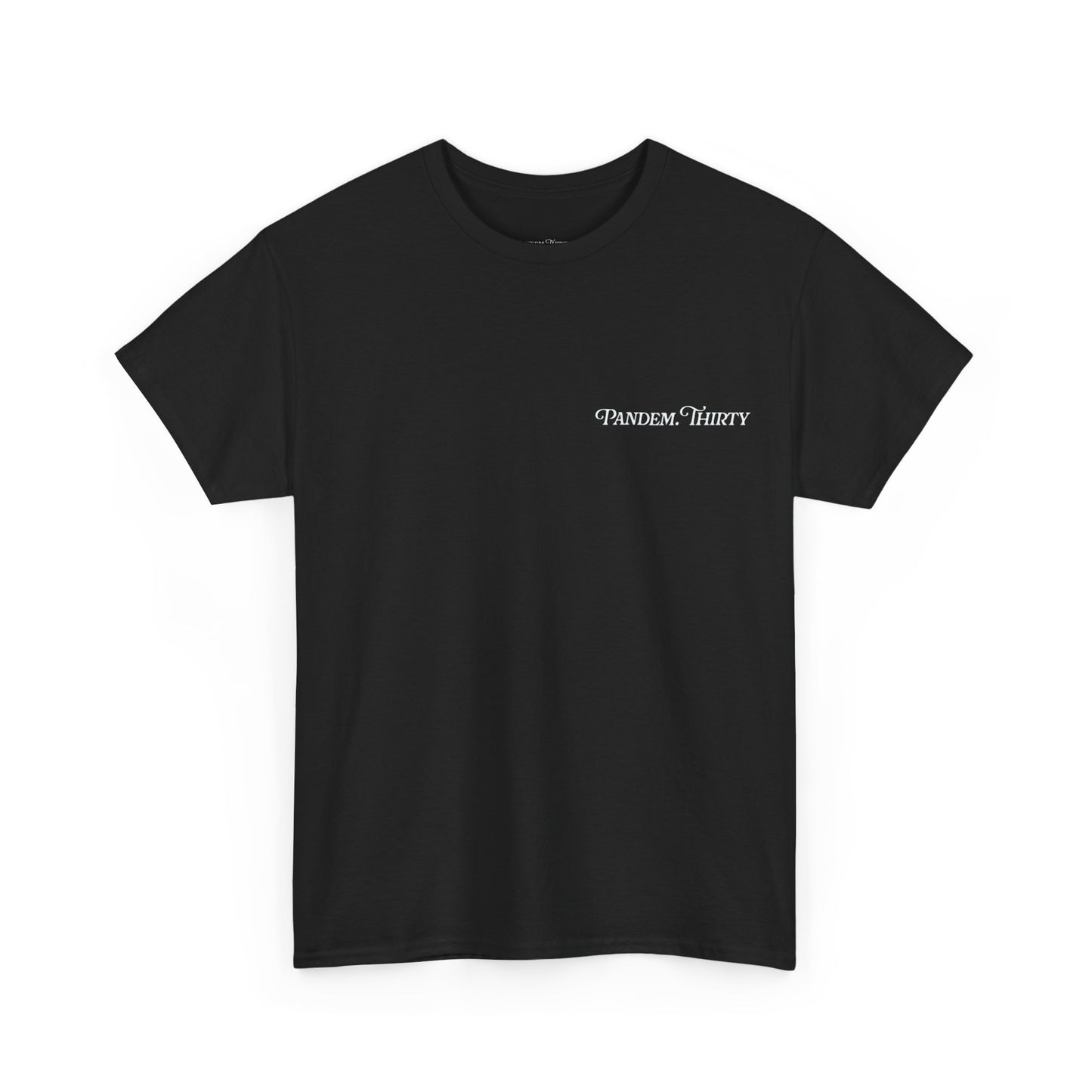 Unisex Heavy Cotton, E30 model (T)