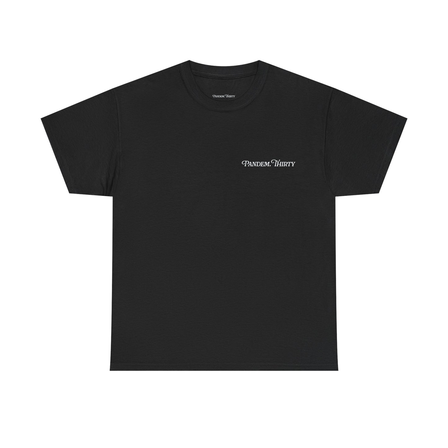 Unisex Heavy Cotton, E30 model (T)