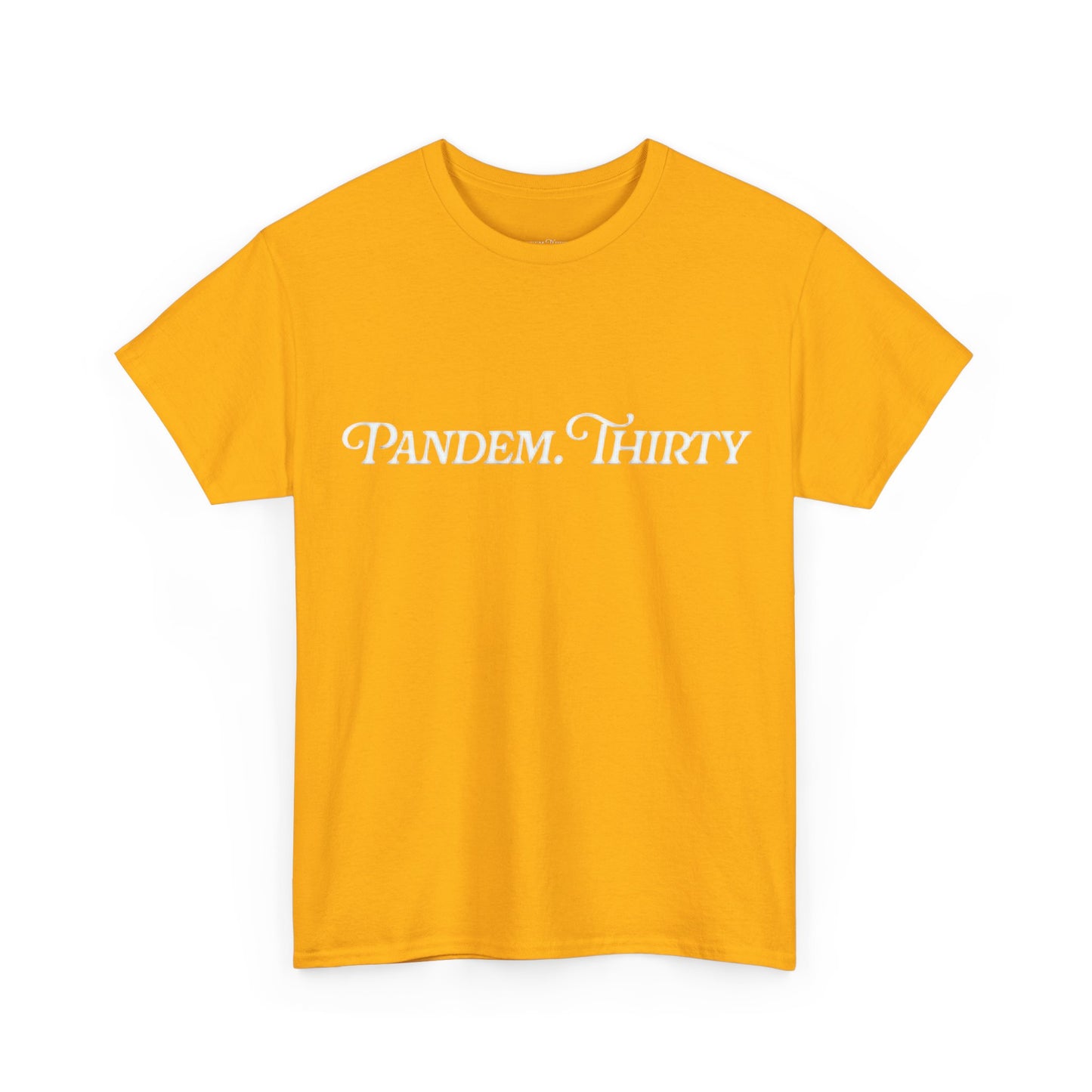 Unisex Heavy Cotton, Silhouette (T)